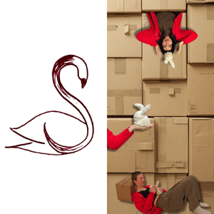 Double Bill | Suikerzwaan X Misjka wil het ook weten